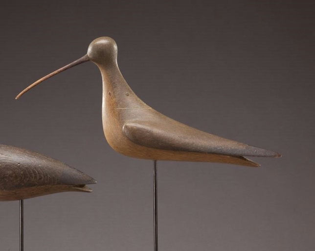 Mark McNair – Curlew – 2011