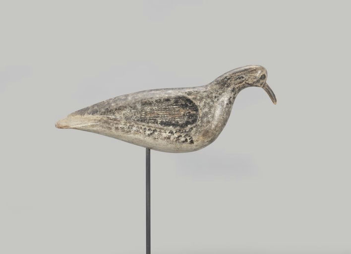 Al Ketcham – Mackey Somers Point Plover – 2022