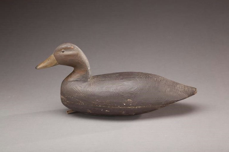 Joe Thomas Paul – Black Duck – 2012