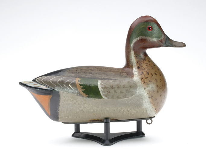 Charles Perdew – Green-winged Teal – 2024