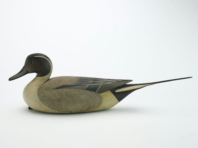 Mark McNair – Hollow carved Pintail – 2024