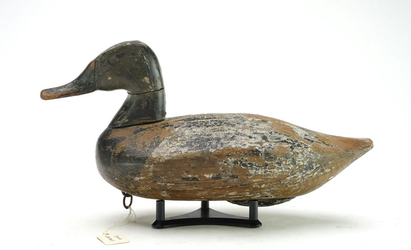 James Currier – Canvasback – 2025