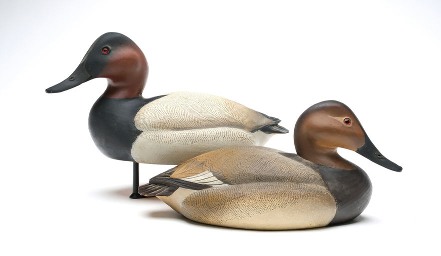 Ward Brothers – Pair of Decorative Canvasback – 2026