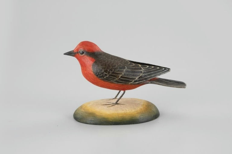 Frank Finney – Vermillion Flycatcher – 2026