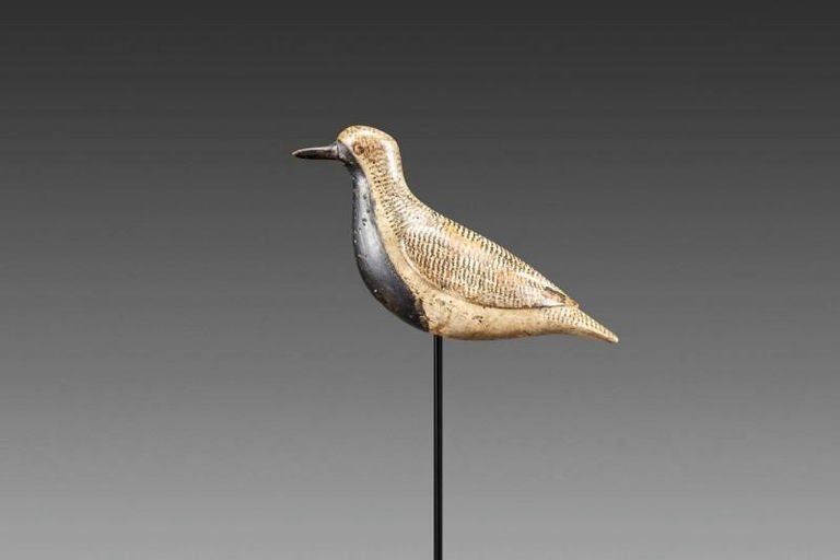 Verity Family – Black-Bellied Plover – 2015