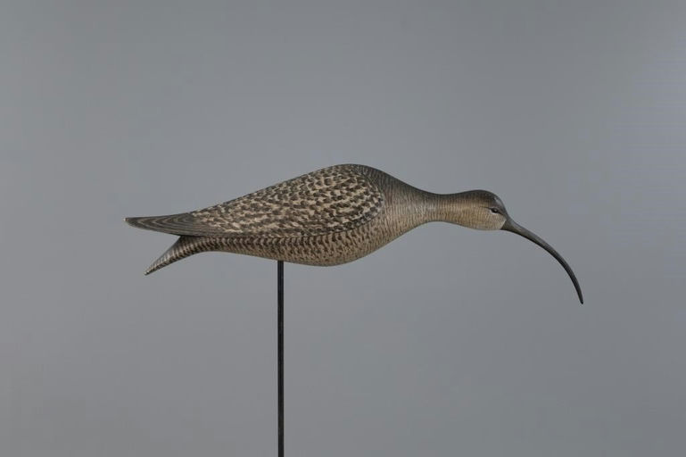 Marty Hanson – Running Curlew – 2025