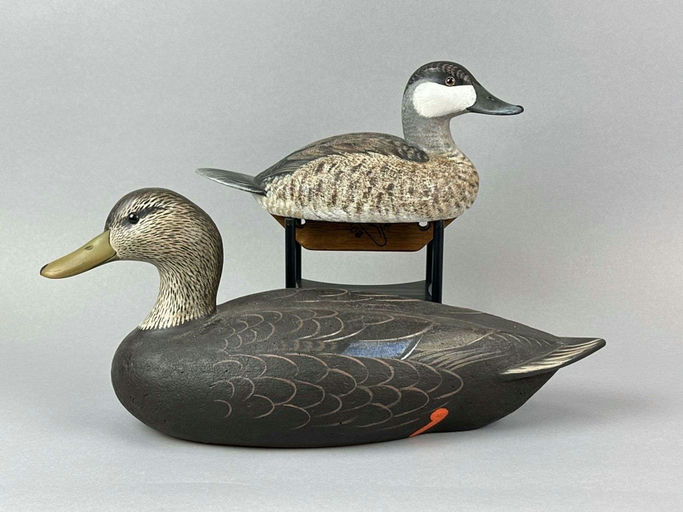 Bob Swann – Black Duck and Ruddy Duck – 2026