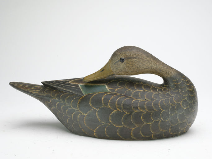 Reggie Birch – Black duck – 2023