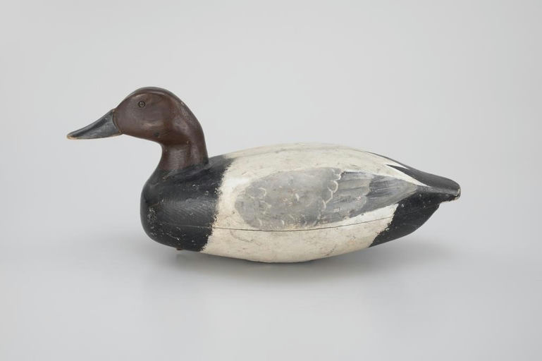Clark Madera – Canvasback Drake – 2026