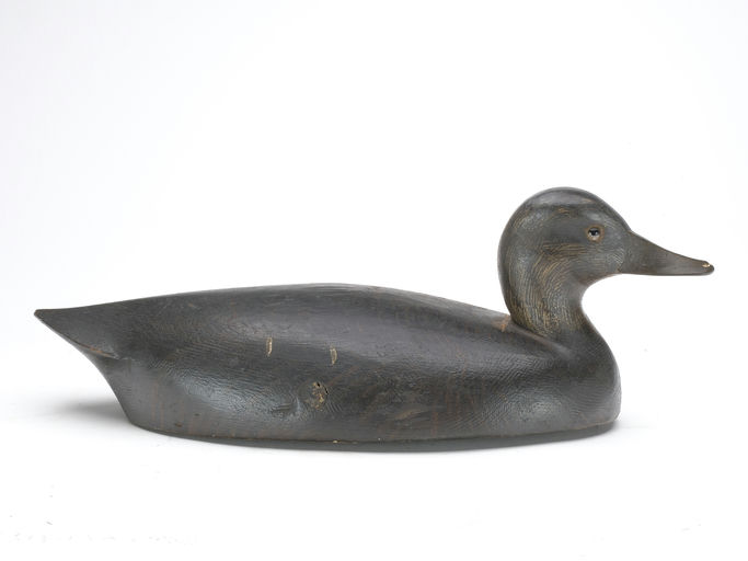 John R. Wells – Black Duck – 2023