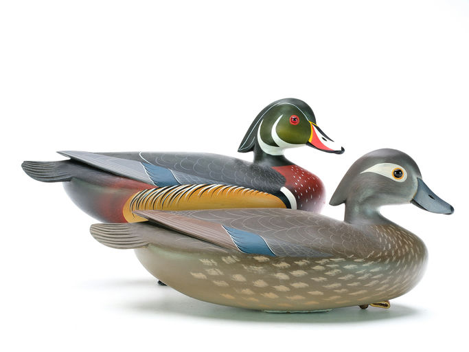 George Strunk – Pair of Wood Ducks – 2025