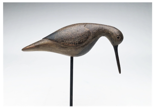 Mark McNair – Feeding Dowitcher – 2021