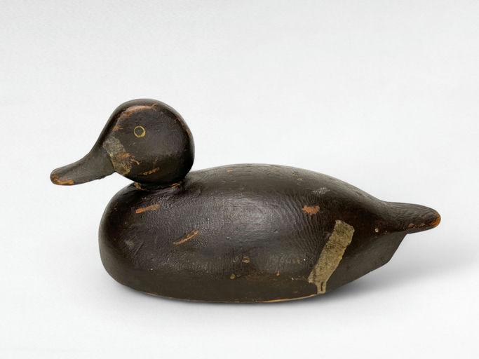 Adam Brown — Bluebill Hen