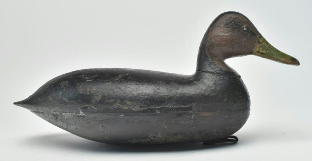 Harry V. Shourds – Black Duck – 2023