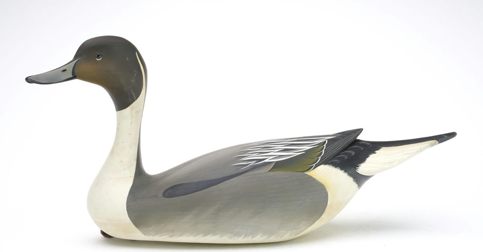 George Strunk – Pintail – 2024