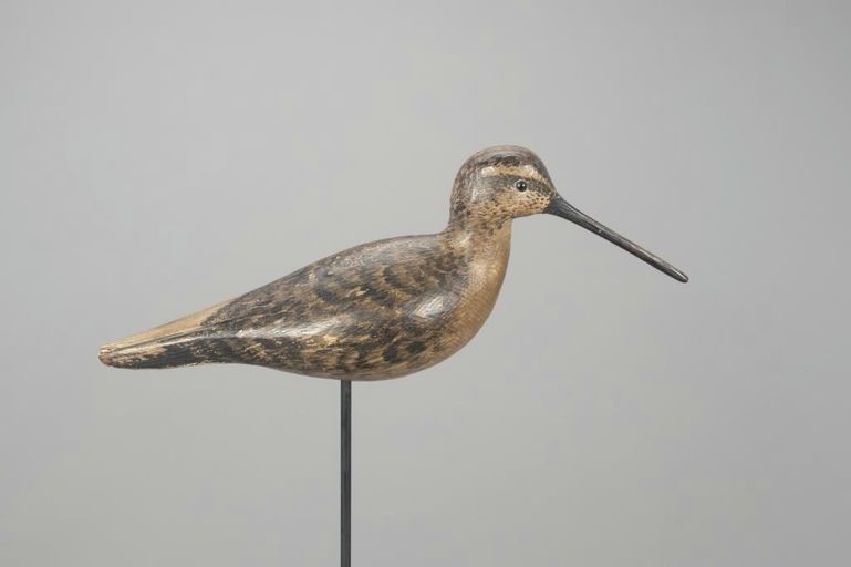 Mark McNair – Dropped-Wing Dowitcher – 2022