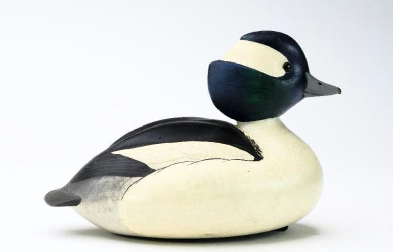John McLoughlin – Bufflehead – 2024