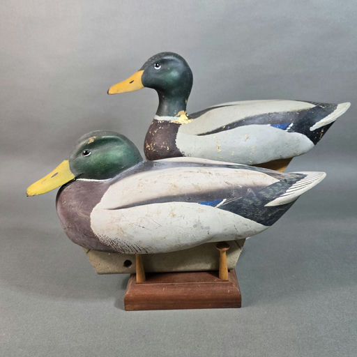 Scott Cronshaw – Mallard – 2026