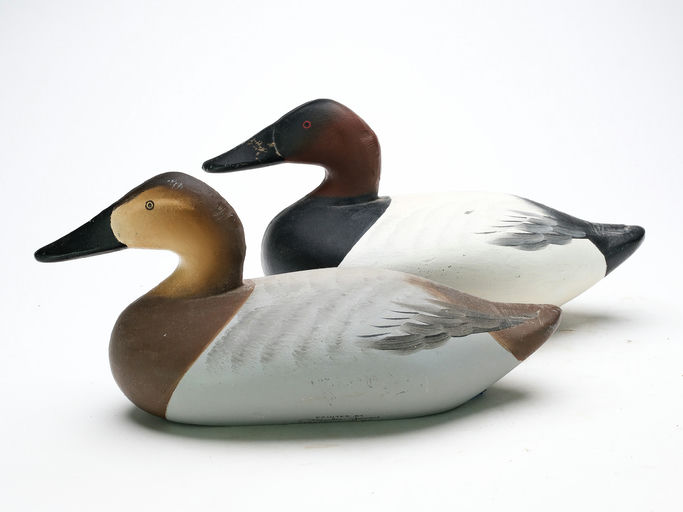 Charlie Joiner – Pair of Canvasbacks – 2025