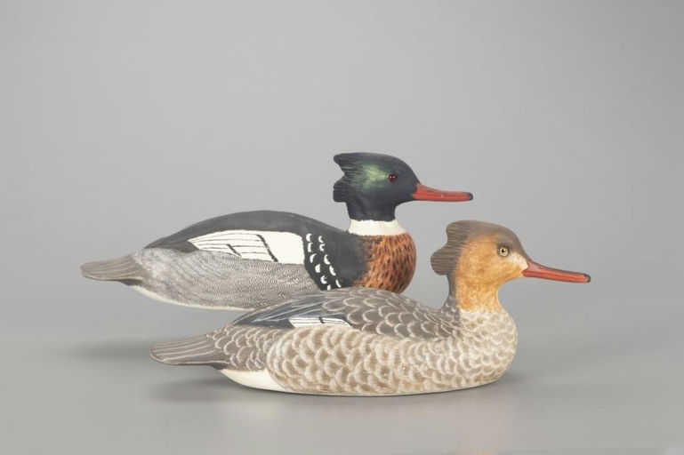 Cigar Daisey – Red-Breasted Merganser Pair – 2022