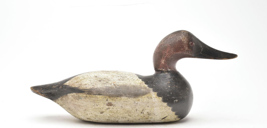 Mason Decoy Factory – High Head Canvasback – 2026