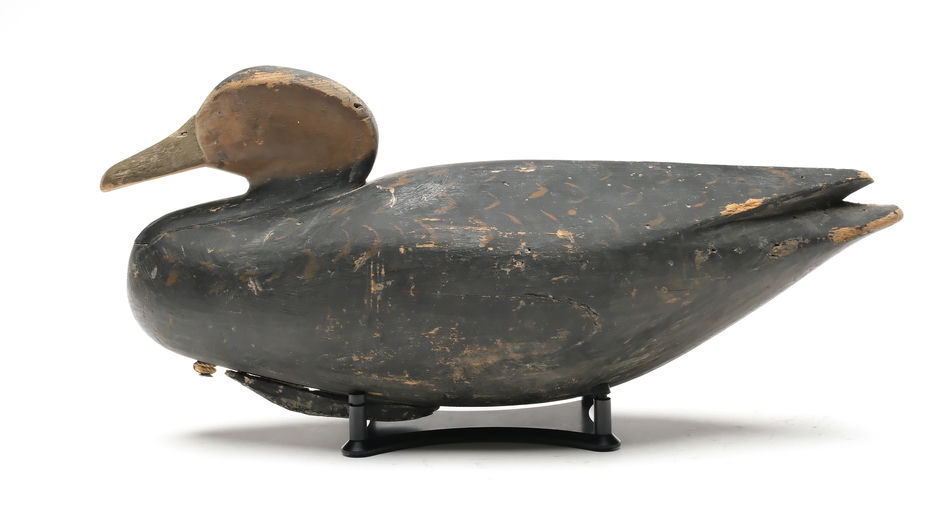 Eli Doughty – Black Duck – 2026