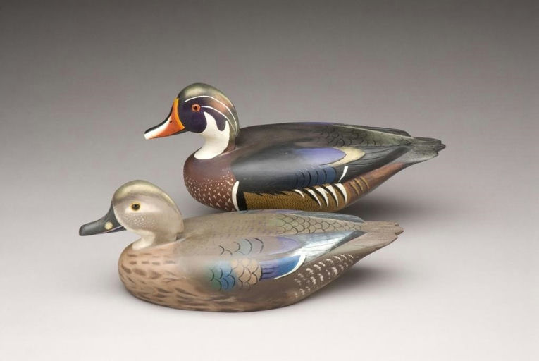 David W. Nichol – Wood Duck Pair – 2009