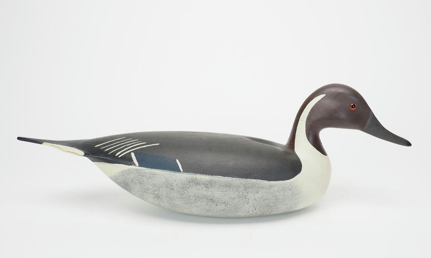 Hurley Conklin – Pintail Drake – 2025