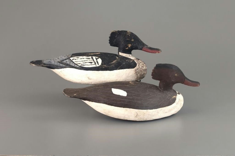 Miles Hancock – Merganser Pair – 2025