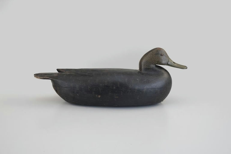 Tom Fitzpatrick – Black Duck – 2026
