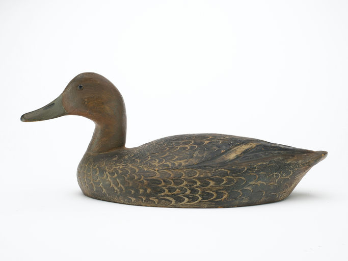 Ben Schmidt – Black Duck – 2024