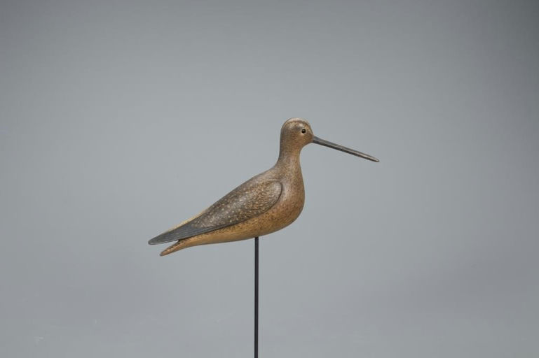 Mark McNair – Dowitcher – 2020