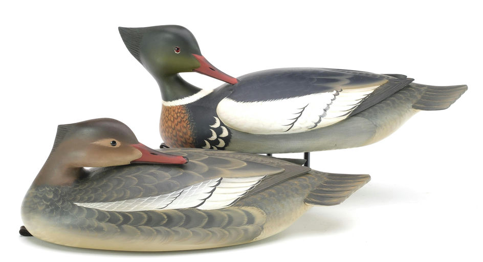 George Strunk – Pair of Red Breasted Merganser – 2024