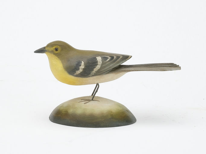 Frank Finney – Full-size yellow-throated vireo – 2024