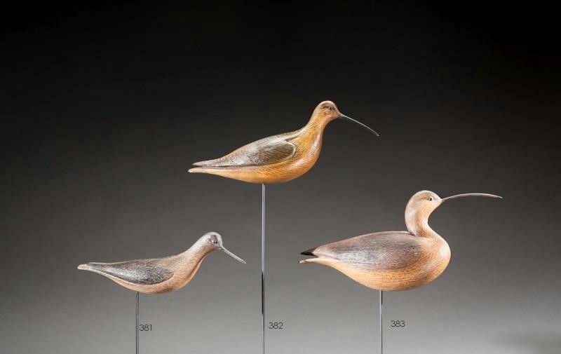 David Ward – Curlew – 2016