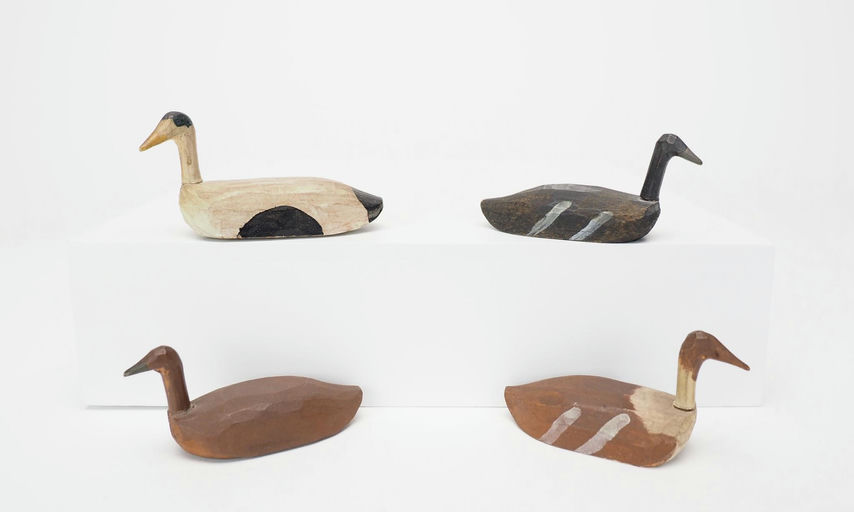Levy Family — Eider & Scoter Pair