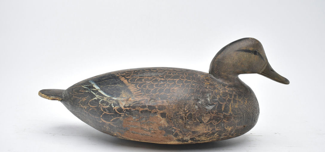 Ira Hudson – Black Duck – 2025