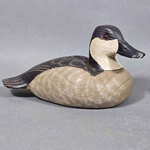 Roe Terry – Ruddy Duck – 2026