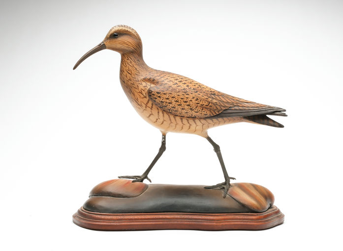 Bill Gibian – Curlew – 2026