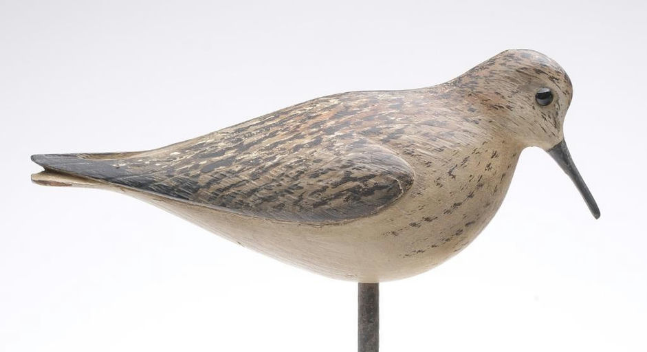 Bill Gibian – Sanderling – 2023
