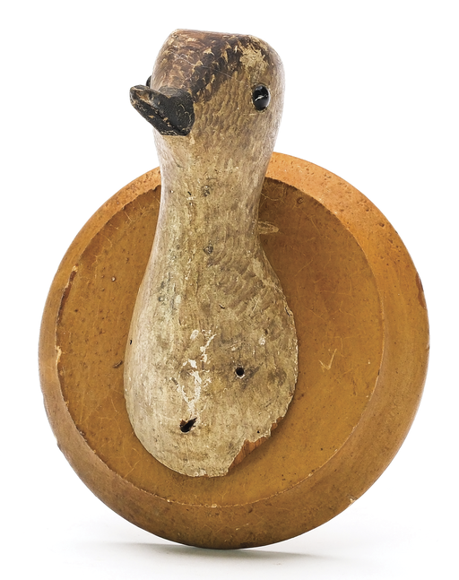 George Boyd – Black Bellied Plover – 2025