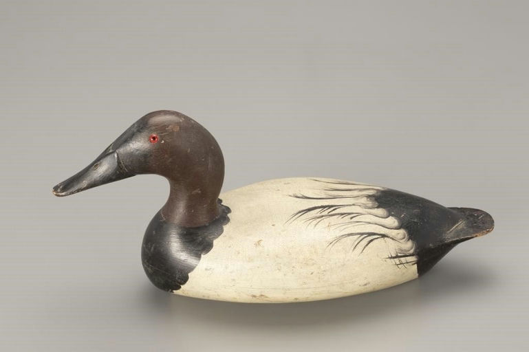 Bert Graves – Canvasback Drake – 2018