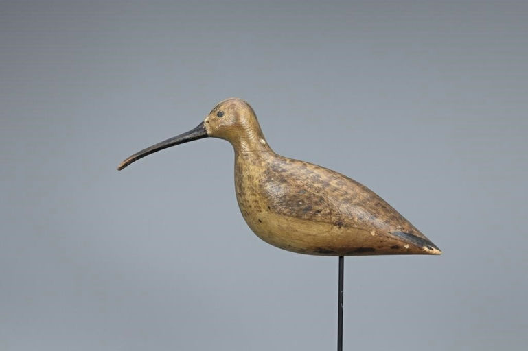 Harry V. Shourds – The Headley-Shourds Curlew – 2019