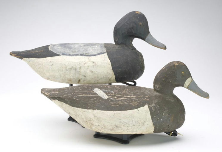 Miles Hancock – Scaup – 2023