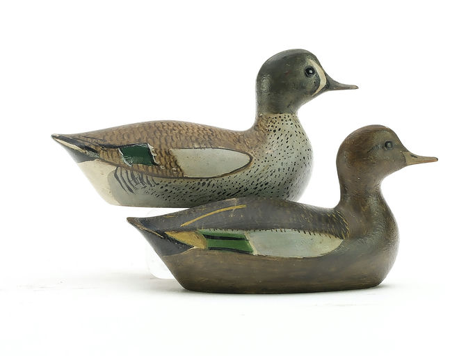 George Boyd – Blue-winged Teal – 2025