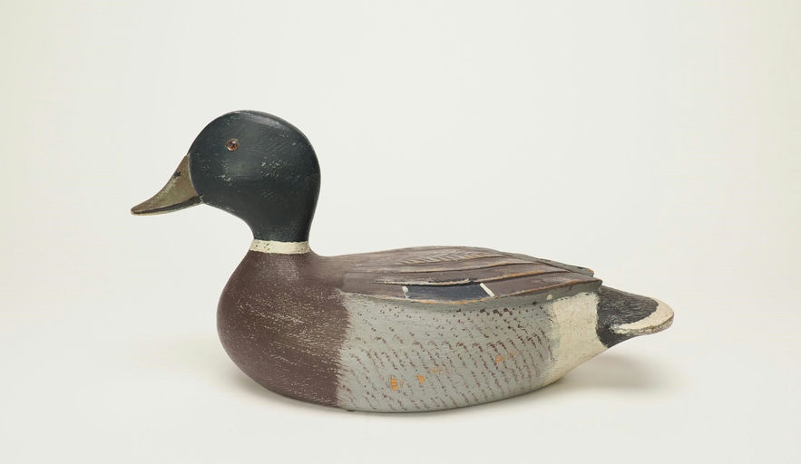 Georges Guyon — Mallard Drake