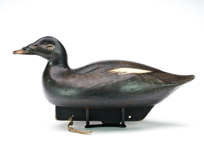 Jim Schmiedlin – Scoter Hen – 2025