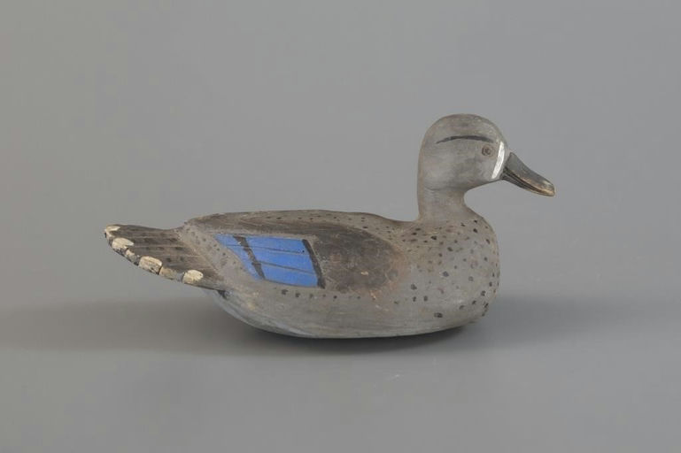 Clovis Vizier Sr. – Blue-winged Teal – 2025