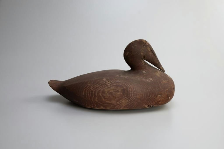 Gus Wilson – Outstanding Eider Hen – 2026