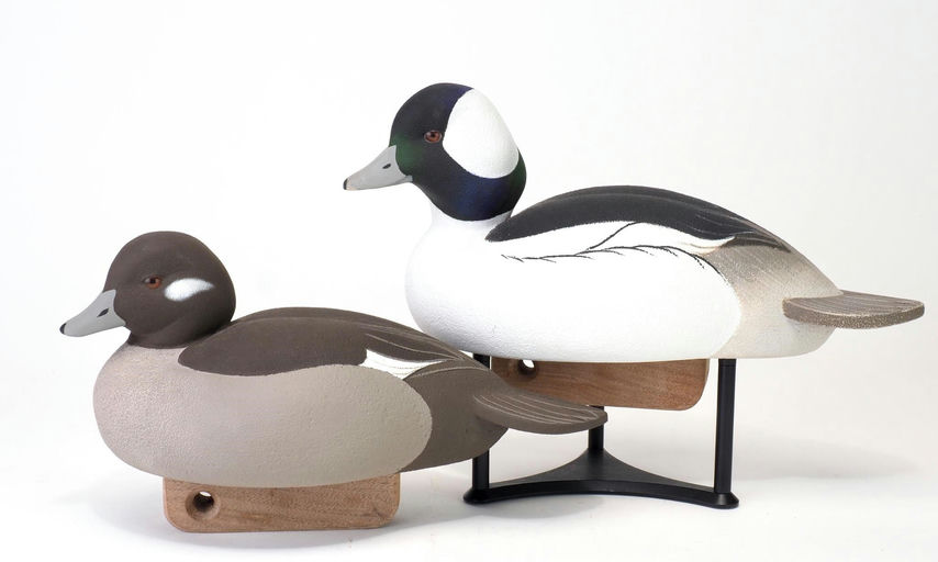 Luke Costilow — Bufflehead Pair